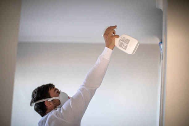 East San Gabriel, CA Mold Removal Company